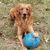 Profile Picture of Kevin Bessette (@kevin.bessette.90) on Facebook