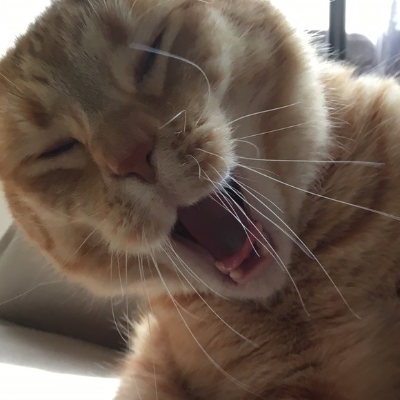 Profile Picture of Margaret Ferrill (@maggieferrill) on Poshmark