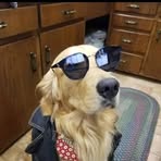 Profile Picture of Cassandra Hudnall (@Cassandra-Hudnall) on Facebook