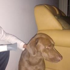 Profile Picture of Alex Longo Longo (@alexlongo30) on Twitter