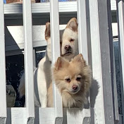 Profile Picture of Paul Kaiser (@PaulKaiser42) on Youtube