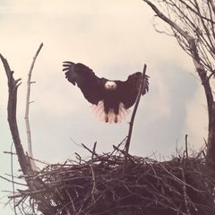 Profile Picture of Michael McMurry (@michaelmcmurry) on Tiktok