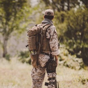 Profile Picture of Richard Nickson (@InvisibleShark1) on Twitter