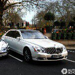 Profile Picture of Deablo Breed (@danny_by_any_means) on Instagram