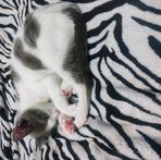 Profile Picture of Michelle Hetzel (@michelle.hetzel1) on Facebook