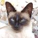 Profile Picture of Colette Gaudet (@Colette-Gaudet) on Facebook