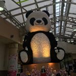 Profile Picture of Joseph Nguyen (@josephnguyen144) on Instagram
