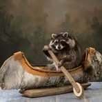 Profile Picture of Tim Dee (@Tim-Dee) on Facebook