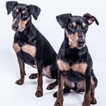 Profile Picture of Lottie Fredell (@lottiefredell) on Instagram