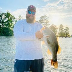 Profile Picture of Stephen Jones (@stephenjones41289) on Tiktok