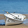 Profile Picture of Andy Mayer (@Aberporth Rowing Club) on Flickr