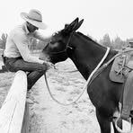 Profile Picture of Andrew Brodehl (@Andrew-Brodehl) on Facebook