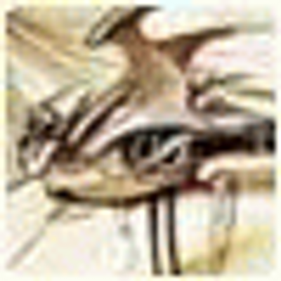 Profile Picture of Carol Swan (@@frankmaurer4) on Twitter