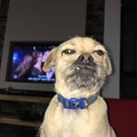 Profile Picture of Sigal Cohen (@sigalcohen1001) on Instagram