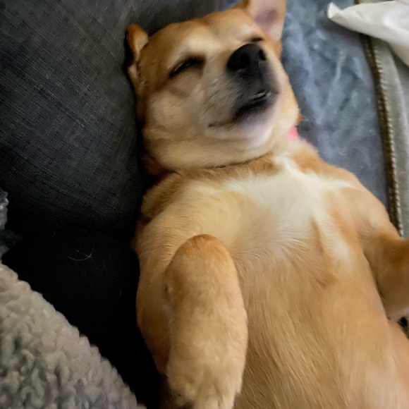 Nancy Halinski - Poshmark Profile Picture of Nancy Halinski (@uptownnana) on Poshmark