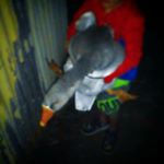 kanytoad - Instagram Profile Picture of kanytoad (@kane.david.bennett) on Instagram