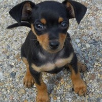 Profile Picture of Lily Fernandez (@lily-fernandez-8) on Quora