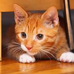 Profile Picture of Valerie Walker (@valeriewalker989) on Instagram