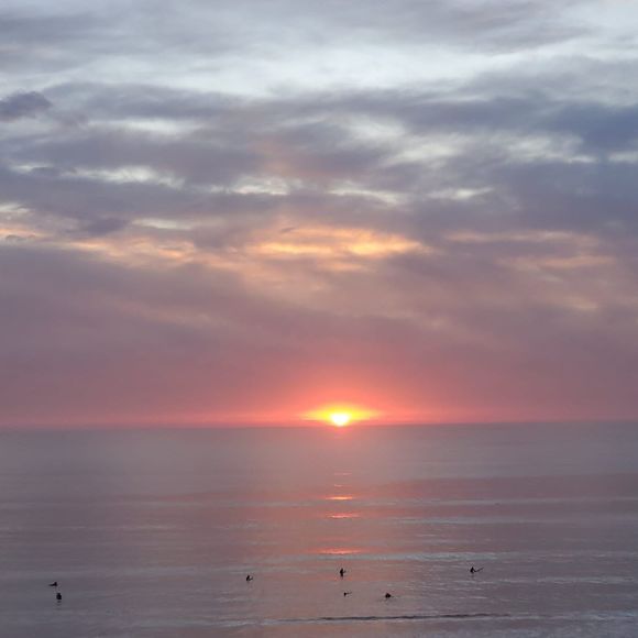 Profile Picture of Susan Griggs muniz-mike muniz (@griggssm) on Poshmark