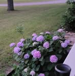 Profile Picture of Marla McGee (@marla.mcgee.145912) on Facebook