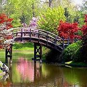 Profile Picture of June Welsh (Weakley) (@June-Welsh) on Facebook