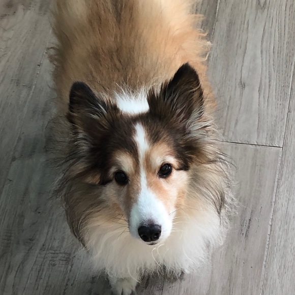 Profile Picture of Kelsey Blakesley (@lukeblakesley) on Poshmark