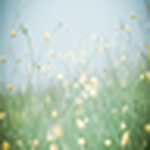 PaintpotsandDaydreams - Flickr Profile Picture of PaintpotsandDaydreams (@PaintpotsandDaydreams) on Flickr