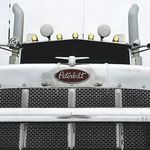 Profile Picture of Erin Porter (@daisy_duke90) on Instagram