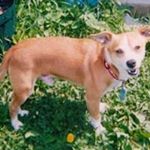 Profile Picture of Loretta Sparks (@loretta.sparks.10) on Instagram