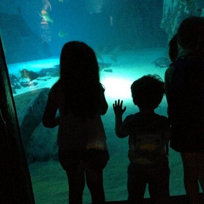 Profile Picture of Darren Bartlett (@db1976saint) on Twitter