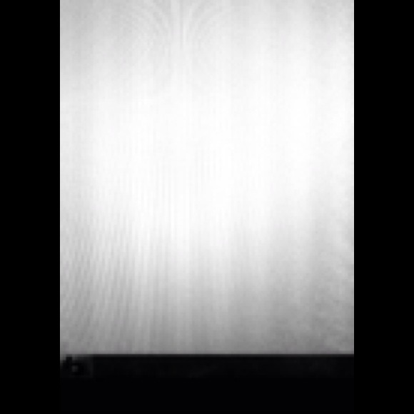 Profile Picture of Paradyce May (@vgbygt) on Poshmark