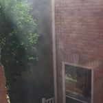 Profile Picture of Ivy Zheng (@jx_zheng2019) on Instagram