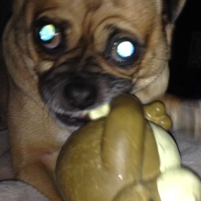 Profile Picture of Ken Bastian (@KennethABastian) on Twitter