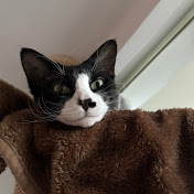 Profile Picture of Xing Yan (@nanoctube) on Youtube