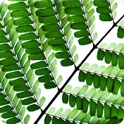 Profile Picture of Rocio Salgado (@rociosalgado5198) on Youtube