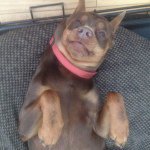 Profile Picture of Chase Lefebvre (@babby_chase) on Instagram