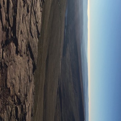 Profile Picture of Lara Dodds (@laradodds101) on Twitter