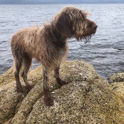 Profile Picture of Nick Brooker (@NickBrooker8) on Twitter