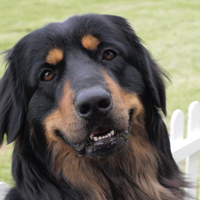 Profile Picture of John Mackay (@johnfmackay) on Twitter