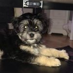 Profile Picture of Edward (@daskompis) on Instagram