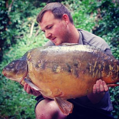 Profile Picture of Robert Finch (@robfinch_finchy) on Twitter