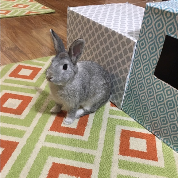 Profile Picture of Kyle Burby (@kyleburby) on Poshmark