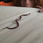 Profile Picture of Kurt Bodenschatz (@kurtbodenschatz) on Instagram