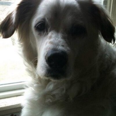 Profile Picture of Debbie Staton (@dollbabe56) on Twitter