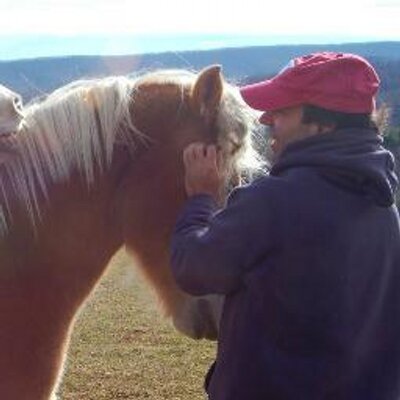 Profile Picture of Peter Athanas (@p_a) on Twitter