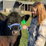 Bailey Boyer - Instagram Profile Picture of Bailey Boyer (@boyer.bailey) on Instagram