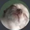 Profile Picture of James Taggart (@spaget3409) on Pinterest
