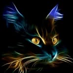 Profile Picture of Jason Pearce (@jason.pearce.200989) on Facebook