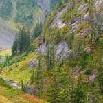 Profile Picture of Suzanne_Maxwell (@suzanne_maxwelle) on Instagram