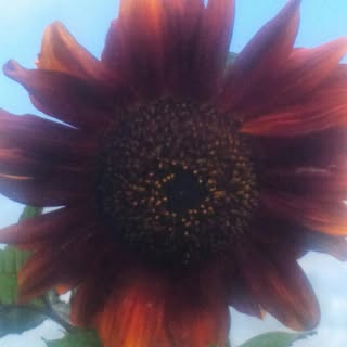 Profile Picture of Andrew Woodward (@woodward_andrew) on Instagram